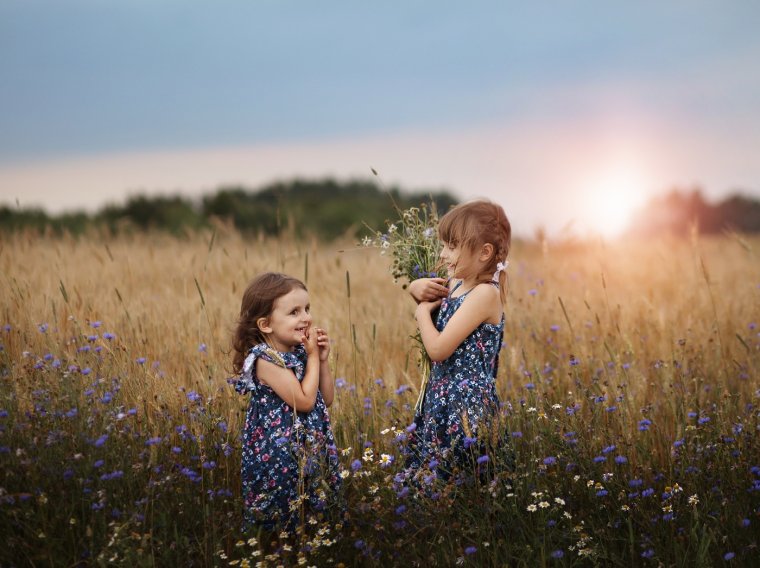 Детские фотосессии в поле
