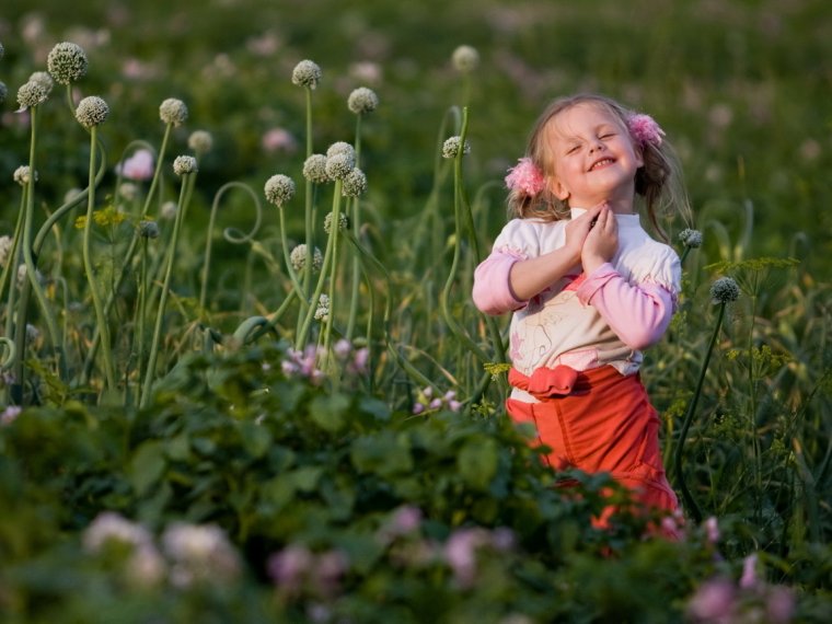 Дети на лугу