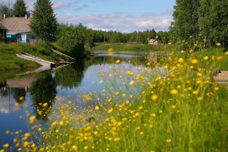 Лето река деревня