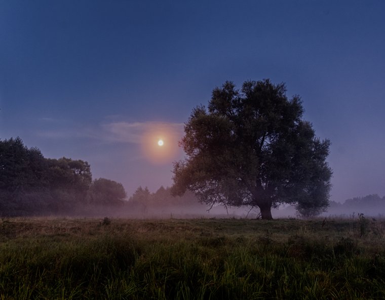 Русская природа ночь