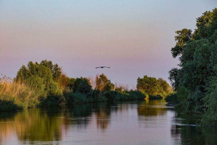Астраханская Дельта Волги