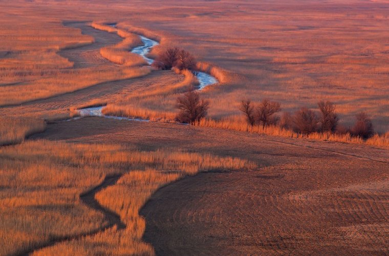 Астрахань заповедник
