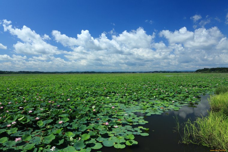 Раскаты Дельта Волги