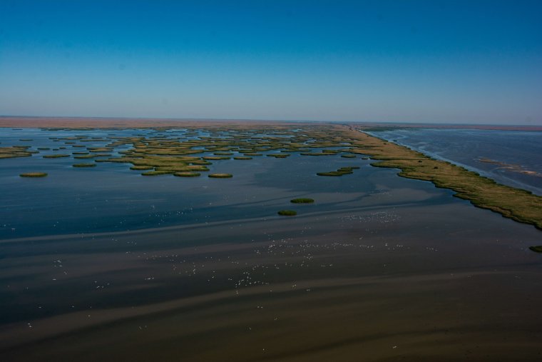 Дельта Волги Каспий