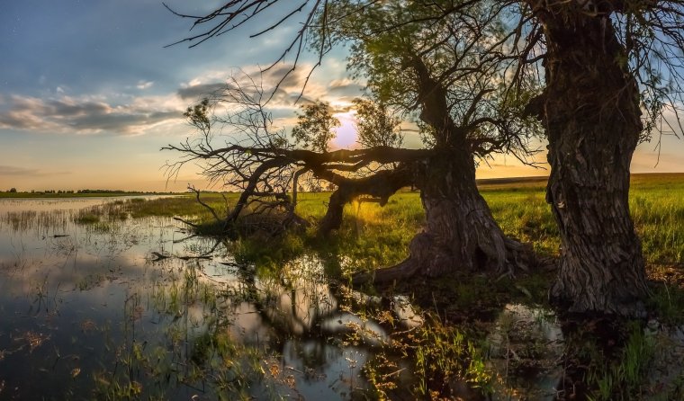 Астрахань Федор Лашков