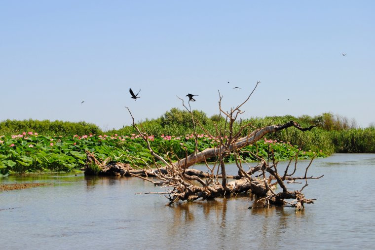 Астраханская область Астраханский биосферный заповедник