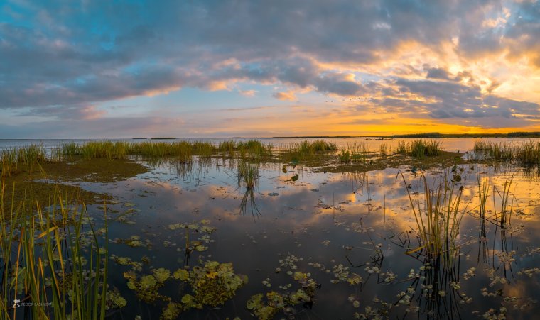 Астраханская Дельта