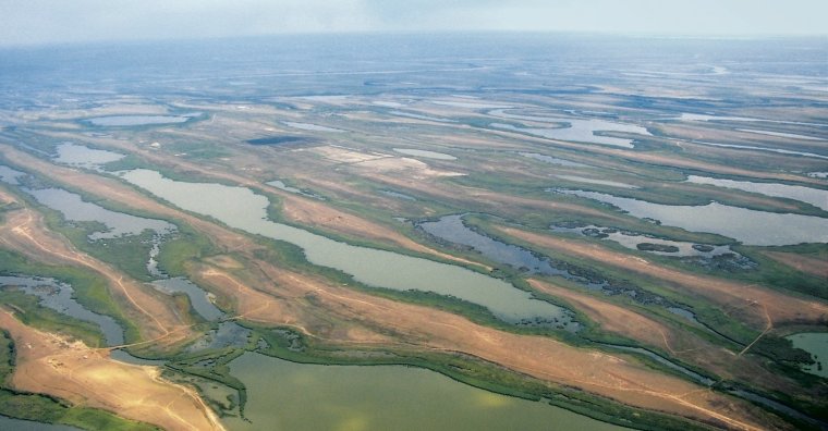 Западные подстепные ильмени Астрахань