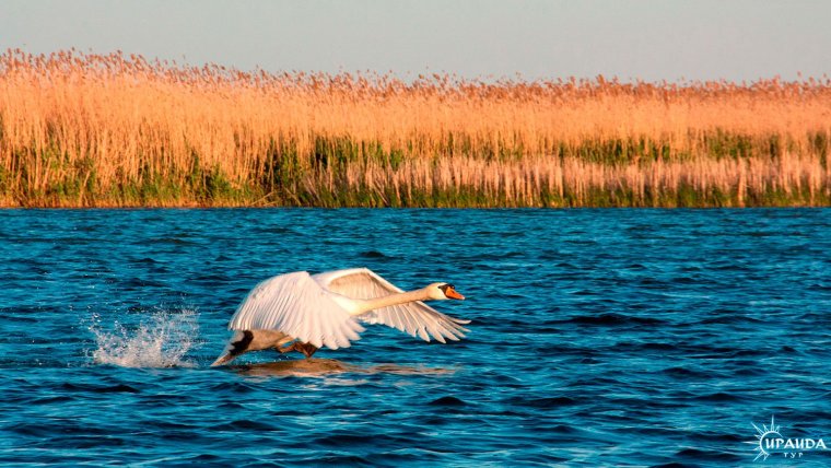 Раскаты Дельта Волги