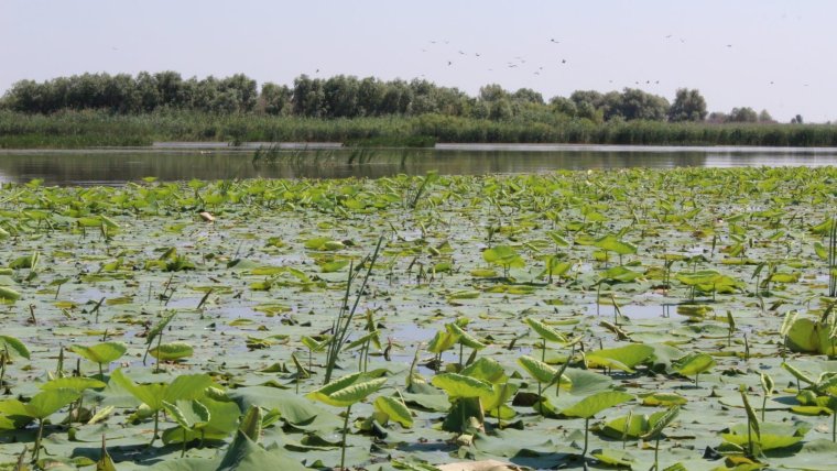 Раскаты Волга Астрахань