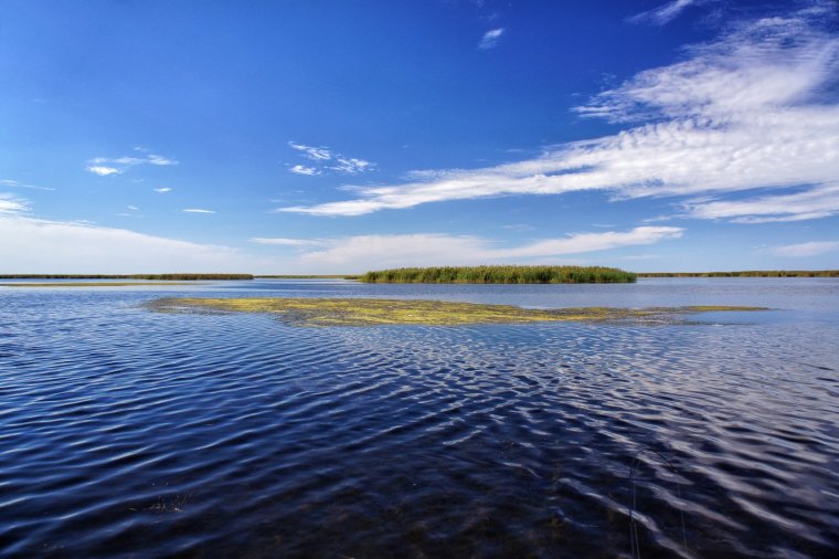 Раскаты Дельта Волги