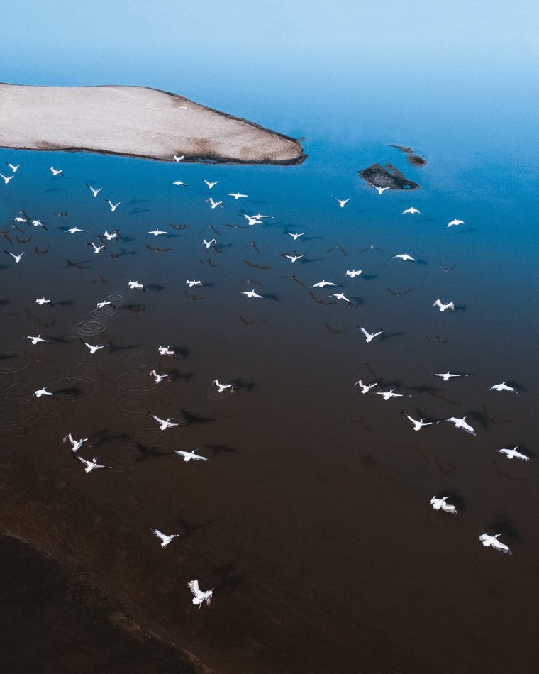 Заповедник Лебяжьи острова Пеликан Крым