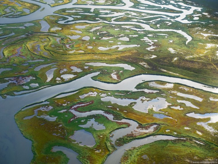 Дельта реки Обь