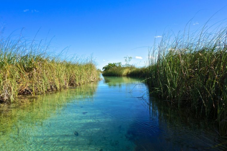 Астраханский биосферный заповедник Дельта Волги