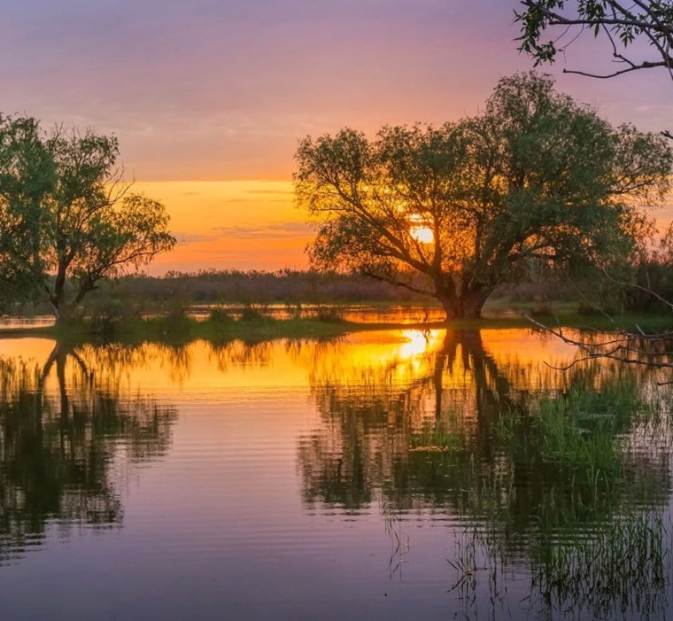 Фёдор Лашков Дельта Волги