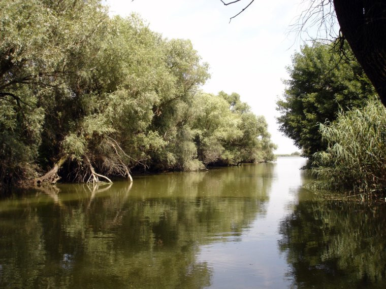 Река Дельта в Астраханской области