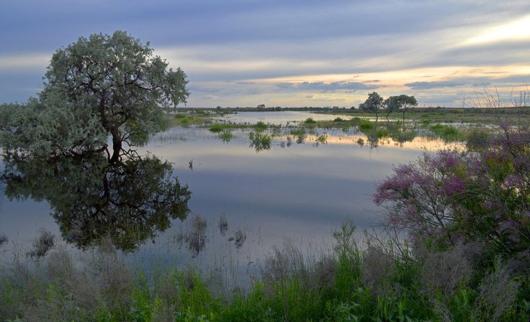 Волга Астраханская область