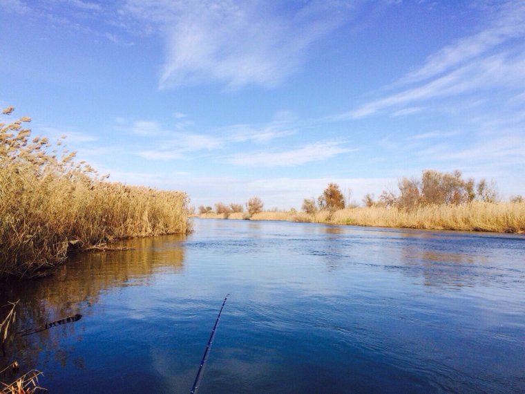 Дельта Волги красный Яр осень