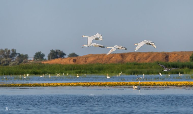 Астраханская область Дельта Волги