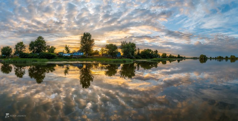 Лашков Дельта Волги