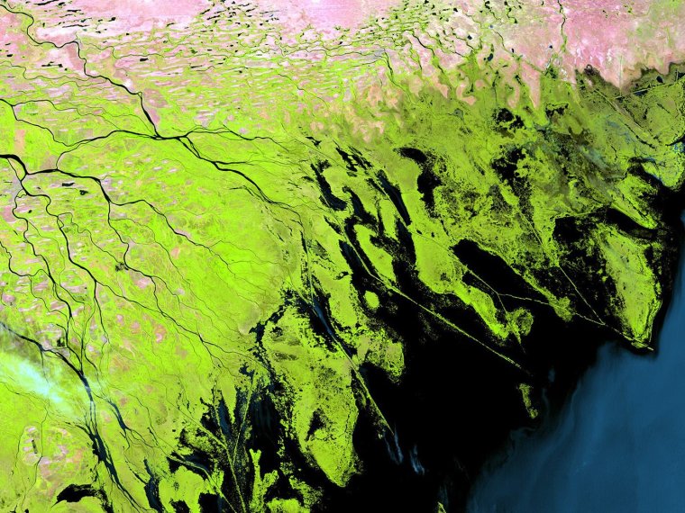 Дельта реки Волга