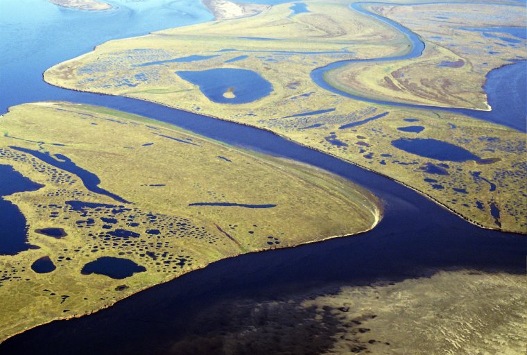 Дельта реки Лена