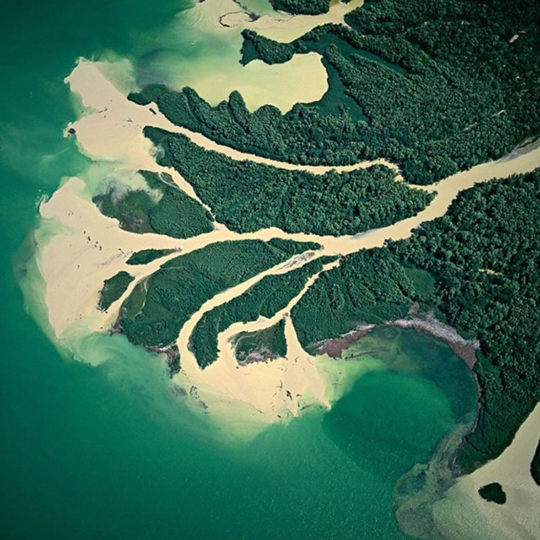 Дельта и эстуарий реки