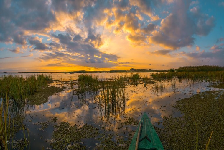 Дельта Волги Астраханский заповедник