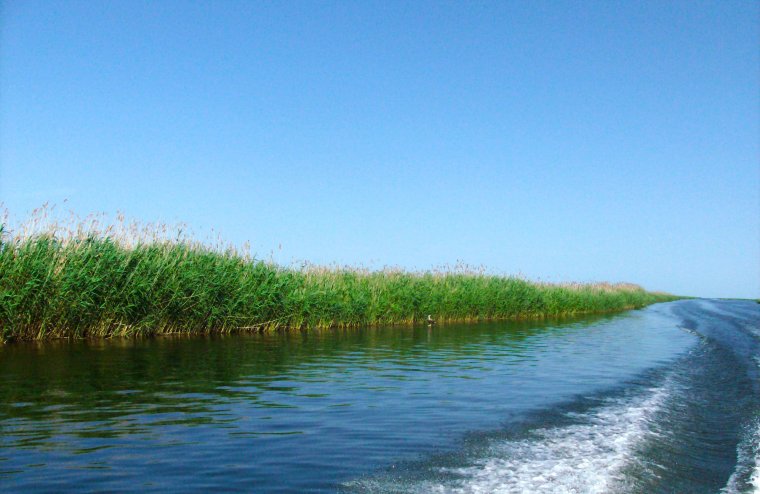 Прикаспийская низменность Дельта Волги