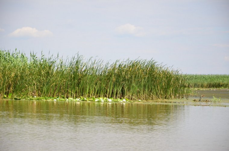 Астраханская Дельта Волги