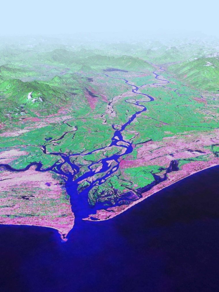 Эстуарий реки это