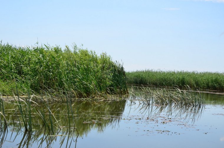Астраханская область Дельта Волги