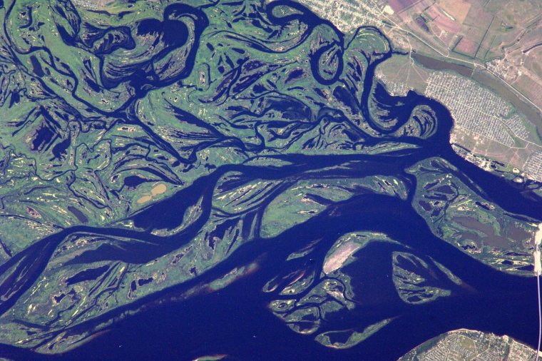 Обь река космический снимок