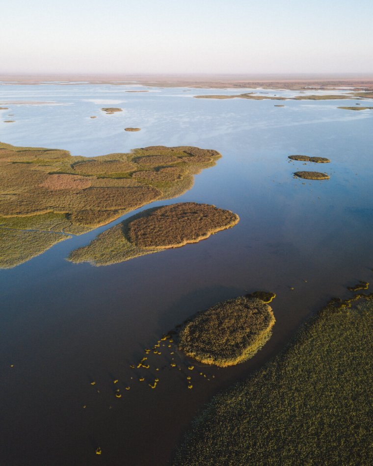 Река Дельта в Астраханской области