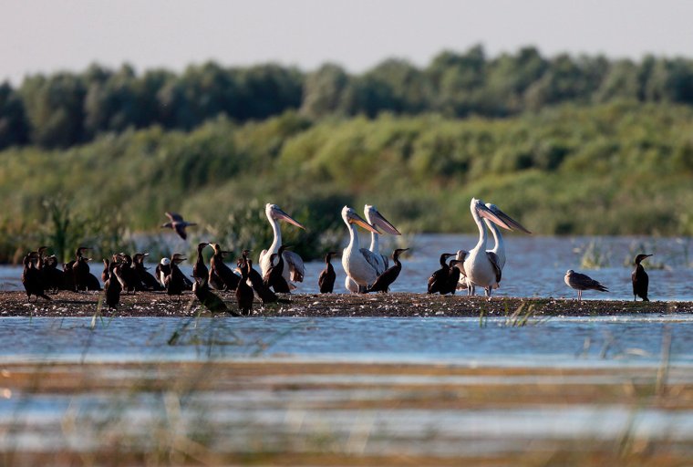 Волго-Ахтубинская Пойма природный парк