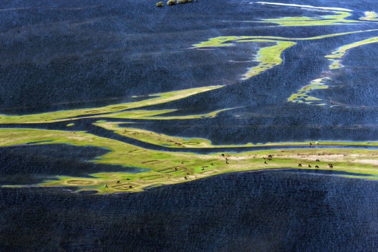 Дельта реки Волга с птичьего полета
