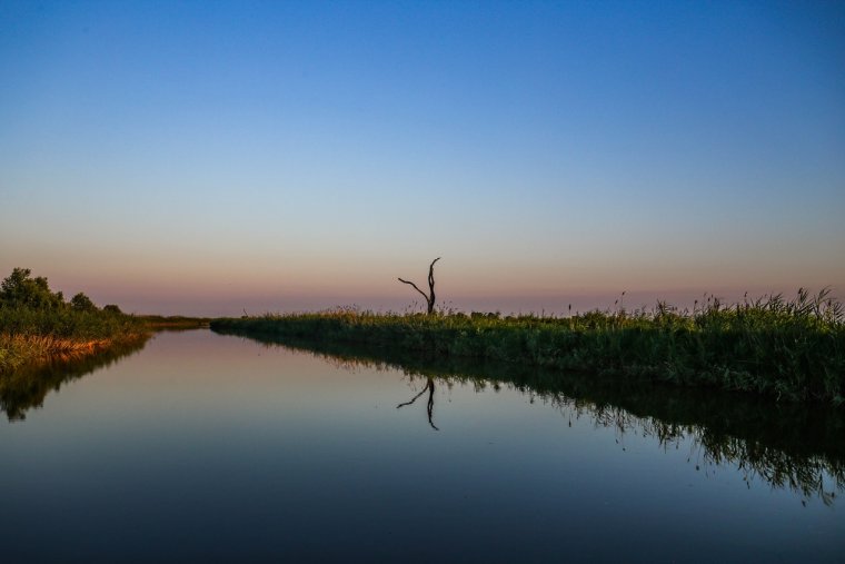 Дельта Волги