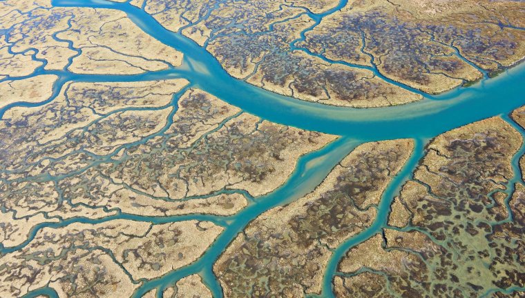 Дельта реки Амазонка