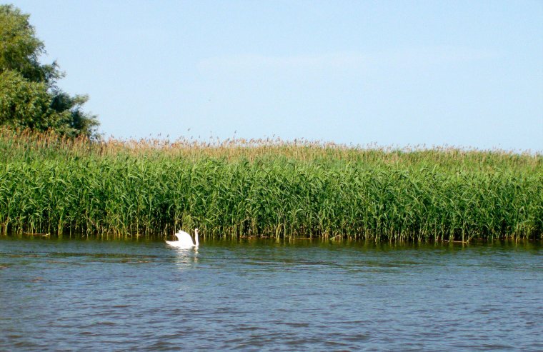 Дельта Волги Каспий