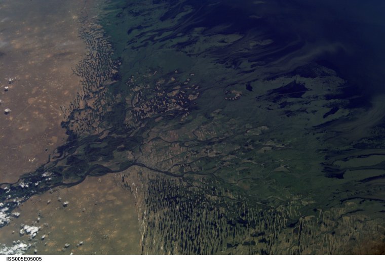 Каспийское море Дельта Волги