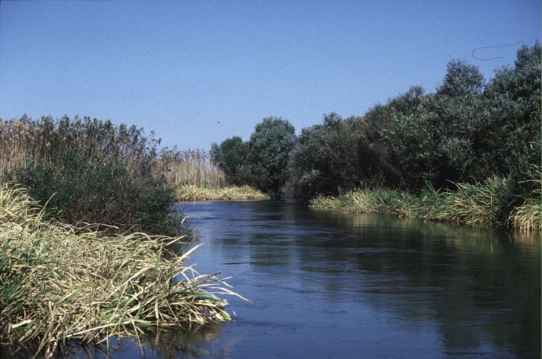 Астраханский биосферный заповедник Астрахань