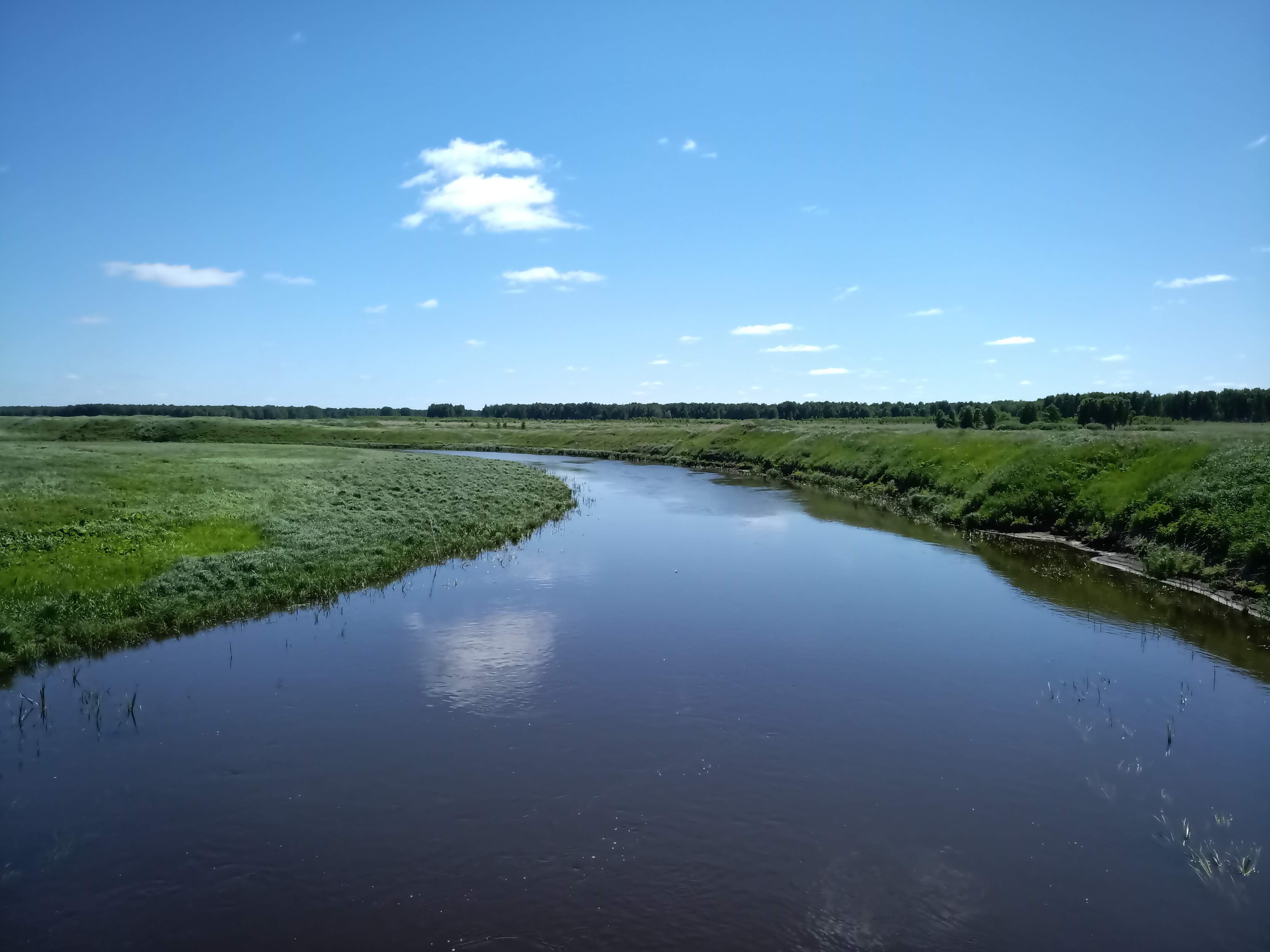 Рекой называют водный. Река Иртыш Павлодар. Река Иртыш Омская область. Река Оша Омская область. Река Тарбуга Омская.