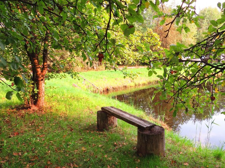 Скамейка у пруда