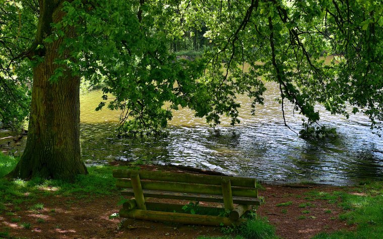 Лавочка у пруда