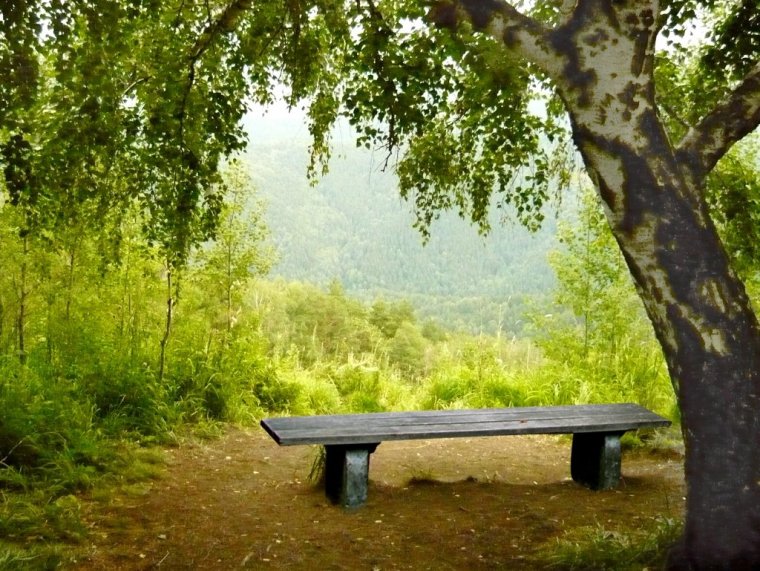 Скамейка на природе