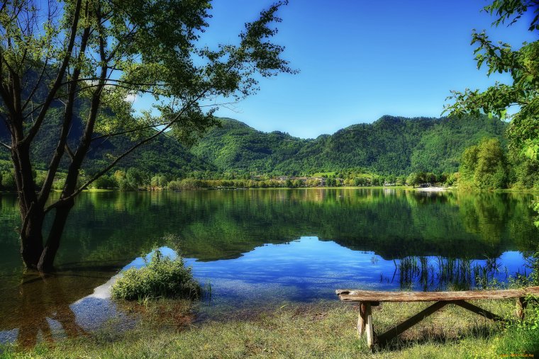 Красивое озеро берег озера