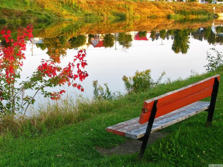 Скамейка у реки