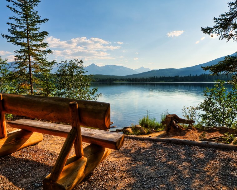 Озеро в парке