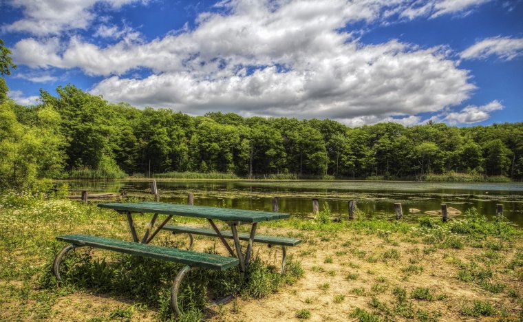 Лето озеро скамейка