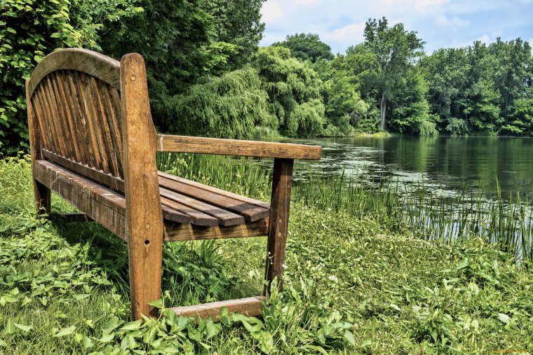 Скамейка у пруда